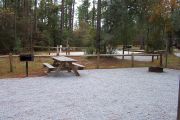 View of a picnic table and fire ring in partial shade.