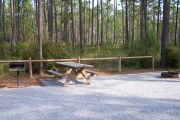 View of a picnic table and fire ring.
