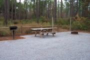 View of a picnic table, clothesline posts and fire ring in partial shade.