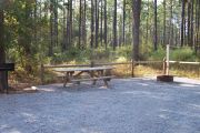 View of a picnic table and fire ring in partial shade.