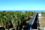 An ADA accessible boardwalk leads across sand dunes and past green cabbage palms to the Gulf of Mexico and Caladesi Islandâs beach.