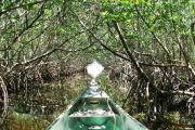 A green and yellow kayak plies the waters off Caladesi Island just as the sun is setting.