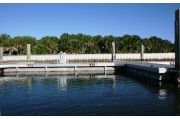 The photograph shows a view of boat slips in the Caladesi Island marina. An aluminum floating dock features power and water pedestals, with an aluminum seawall and green palm trees in the background. Concrete pilings support the docks.  Finger docks protrude out from each side of the main dock at intervals of every two boat slips.