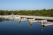 The photograph shows a view of boat slips in the Caladesi Island marina. An aluminum floating dock features power and water pedestals, with an aluminum seawall and green palm trees in the background. Concrete pilings support the docks.  Finger docks protrude out from each side of the main dock at intervals of every two boat slips.