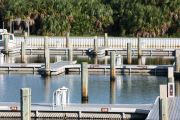 The photograph shows a view of boat slips in the Caladesi Island marina. An aluminum floating dock features power and water pedestals, with an aluminum seawall and green palm trees in the background. Concrete pilings support the docks.  Finger docks protrude out from each side of the main dock at intervals of every two boat slips.
