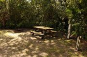 This view is of the brown metal ground grill, wooden picnic table, gray electrical box and PVC water spigot supported by a wooden post. Cabbage palms shade this site. Soil is tan with sparse green grass.