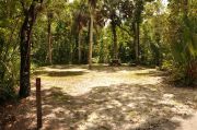 The wooden site marker is front left. This site has green grass and tan sandy soil. Itâs treed and surrounded by green vegetation. To the back right is a brown metal ground grill. A wooden picnic table, gray electrical box and water spigot is to the left of the grill.