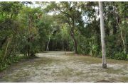 This view from the back of the site shows a paved front road, wooden site marker, sandy soil with sparse green grass and a view into the opposing camp site. A Cabbage Palm is Â¼ forward from the back of the site.