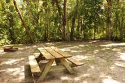 This view shows the brown metal ground grill, wooden picnic table and gray electrical box. The water spigot is to the right of the electrical box. It is heavily shaded with green vegetation. Soil is tan with sparse green grass. Some tree roots are visible to the left.