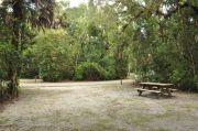 This view from the back of the site shows a paved front road, wooden site marker to the right, sandy soil with sparse green grass and a view into an opposing camp site. The wooden picnic table is to the right. A Cabbage Palm and Oak trees shade this site.