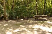This view shows the gray electrical box, water spigot, brown metal ground grill, and wooden picnic table. The site is heavily shaded with green vegetation. Soil is tan with sparse green grass. Some tree roots are visible to the left near the grill and picnic table.