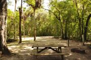 This view from the back of the site shows a paved front road, wooden site marker to the left, sandy soil with sparse green grass and partial view into an opposing camp site. The table, grill, & utilities are center to right. Cabbage Palms and Oak trees shade this site.