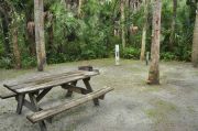 This view shows a wooden picnic table, brown metal ground grill, & gray electrical box. The water spigot is to the right of the electrical box. It is heavily shaded with green vegetation. Soil is tan with sparse green grass. One Cabbage Palm is within the picnic area.