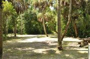 This view from the back of the site shows a paved front road, wooden site marker to the right, sandy soil with sparse green grass and partial view into an opposing camp site. The wooden picnic table is to the right. Four Cabbage Palms shade this site.