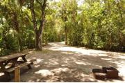 This view from the back of the site shows a paved front road, sandy soil with sparse green grass and a small view into an opposing camp site. The wooden picnic table and water spigot is to the left. A brown ground grill is to the right. A huge Oak tree shades this site.