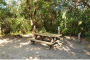 This view shows a brown metal ground grill, wooden picnic table, a gray electrical box and a water spigot. It is partially shaded with green vegetation. The soil is tan with sparse green grass.