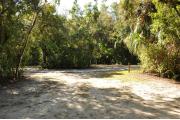 This view from the back of the site shows a paved front road, wooden site marker to the left, sandy soil with sparse green grass and partial view into two opposing camp sites. Green palms and green vegetation help to shade this site.