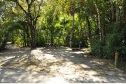 The wooden site marker is to the right. Site has green grass, tan sandy soil, shaded by green vegetation, Oak trees and Palms. The brown metal ground grill is to the left. A wooden picnic table and gray electrical box are center. The water spigot is to the right.