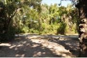 This view from the back of the site shows a paved front road, wooden site marker to the left, sandy soil with sparse green grass and a small view into an opposing camp site. A large Oak tree is to the right.
