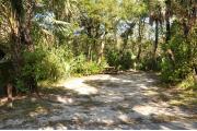 The wooden site marker is to the left. This site has green grass and tan sandy soil, shaded and surrounded by green vegetation. The brown metal ground grill, wooden picnic table, gray electrical box and water spigot are at the back. Palms and Oak trees are visible.