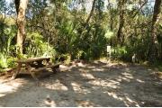 This is a view of the wooden picnic table, brown ground grill, gray electrical box and the water spigot. The soil is sandy with sparse green grass. Green palms surround the site. Tree roots are around the picnic area.