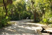 The view from the back of the site shows a paved front road, wooden site marker to the right, sandy soil with sparse green grass and partial view of an opposing camp site with a small green tent. A wooden picnic table is to the right. Oak & Cabbage Palms shade this site.