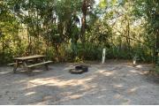 This view shows the wooden picnic table, brown ground grill, gray electrical box and water spigot. The soil is sandy with sparse green grass with some exposed tree roots. Green vegetation and Palms give this site partial shade.