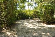 The wooden site marker is at the left. This site has green grass and tan sandy soil. Itâs partially shaded and surrounded by green vegetation. A wooden picnic table is to the right and the gray electrical box is center. A large Royal Palm is at the back of this site.