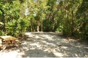 This view from the back of the site shows a paved front road, sandy soil with sparse green grass and partial view into an opposing camp site. The wooden picnic table is to the left. Green vegetation surrounds this site.