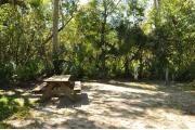 This is a view of a brown ground grill, wooden picnic table, gray electrical box and water spigot. The soil is sandy with sparse green grass. Green vegetation and tall Palms surround the site and gives partial shade.
