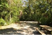 This view from the back of the site shows a paved front road, sandy soil with sparse green grass. The wooden picnic table is to the right. Cabbage Palms partially shade this site.