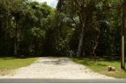 A wooden site marker is at the right. This site has green grass, gray soil, shaded, and surrounded by green vegetation. A brown metal ground grill & wooden picnic table, center. A power pole and guide wires are to the right. Two large Oak trees mark the entrance.