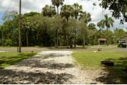 Left are a water spigot, gray electrical box, Oak tree, brown ground grill, and a wooden picnic table. Tree roots are visible at the back of the site. Oak trees and palms give this site partial shade.