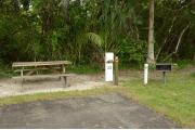 This view shows a Cabbage Palm and a tree lining the paved driveway. To the right is the recreation building shuffle board court, scoreboard and restroom facility. It has an open view of the campground.  The neighboring siteâs picnic table is to the right.