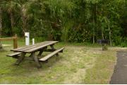 This view from the site shows a paved front road, wooden picnic table to the right. A score board, shuffle board, and restroom facility surrounded by Royal Palms and other trees. A blue tent is in the distance. Firewood shed is at center right.