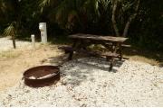 This view from the back of the site shows a wooded camping loop shaded by Palms and Oak trees. Picnic tables are scattered. Site marker is to the right. The driveway is gray pebbles lined with green grass. Firewood shed and the restroom facility are in the distance.
