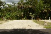 This site is an open sunny site that has limited shade. The site marker is to the right. A brown ground grill, gray electrical box, water spigot and picnic table are to the back of the site. Palms and green wooded vegetation are also at the back of the site.