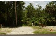 This site is open, sunny and with limited shade. The site marker is to the right. A brown ground grill, gray electrical box, water spigot & picnic table are to the left. Palms and green wooded vegetation are also at the back of the site. A guide wire is to the left.