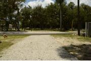 This view shows the wooden picnic table, brown ground grill, water spigot and gray electrical box to the left. The soil is gray to tan color. Green palms are in the background.