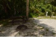 This view from the back of the site shows a wooded camping loop shaded by Palms and Oak trees. Picnic tables are scattered. Site marker is to the right. The driveway is gray pebbles lined with green grass. Firewood shed and the restroom facility are in the distance.