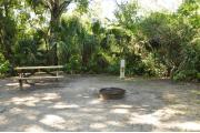 This view shows the wooden picnic table, brown ground grill, gray electrical box and water spigot. The soil is sandy with sparse green grass. Green vegetation, Palms and Oak trees give this site partial shade.