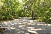This view from the back of the site shows a paved front road, sandy soil with sparse green grass. Part of the wooden picnic table is to the left. Oak trees and Cabbage Palms shade this site. This site has open space to the right into site #016.