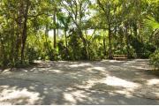 The wooden site marker is to the left. This site has green grass and tan sandy soil. Itâs shaded and surrounded by green vegetation. A wooden picnic table and gray electrical box are to the back right. Oak trees and Cabbage Palms shade this site.