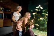 Photo: JOHN PENNEKAMP CORAL REEF SP. Woman with gray hair, young girl with long blonde hair and younger boy with auburn hair look with delighted and interested faces at many colorful fish in large saltwater aquarium with white sand and artificial brown coral with dark wooden walls and other displays in Parkâs Visitor Center