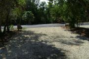 Photo: 006, JOHN PENNEKAMP CORAL REEF SP. View from campsite looking out toward road, campsite on opposite side of road.
