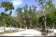Photo: 013, JOHN PENNEKAMP CORAL REEF SP. Rock with campsite number, very little shade gravel campsite with picnic table, grill, concrete sewer hookup basin, electric post, and paved road in foreground.
