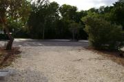 Photo: 015, JOHN PENNEKAMP CORAL REEF SP. View from campsite looking out toward road, campsite on opposite side of road.