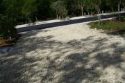 Photo: 022, JOHN PENNEKAMP CORAL REEF SP. View from campsite looking out toward road, campsite on opposite side of road.