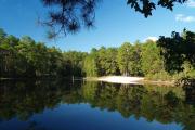 Photo: FALLING WATERS SP