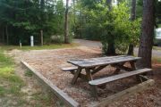 Campsite with picnic table.